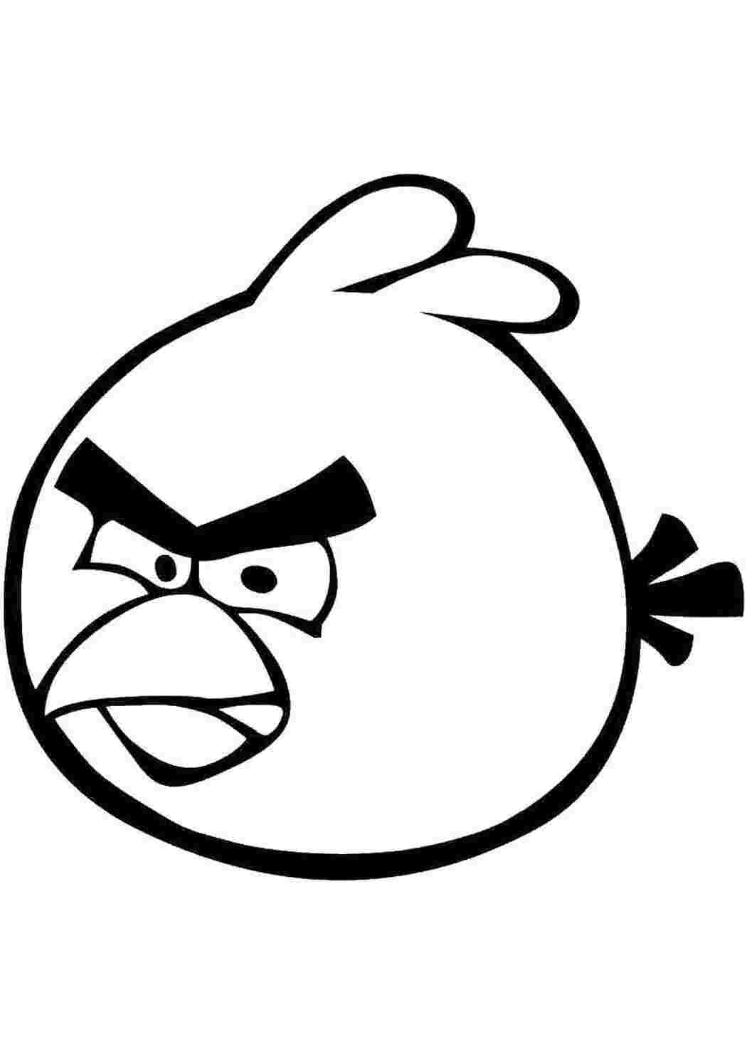 angry birds птички, птицы, игры