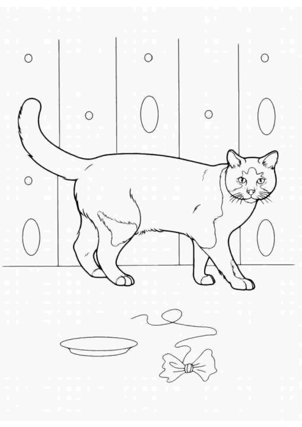 Раскраски Рисунок играющей  кошки домашние животные кошка, кот