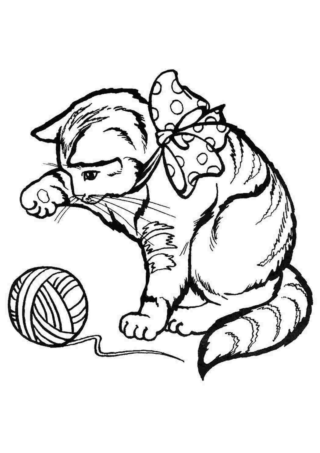 котята и щенки клубок, кот, бантик