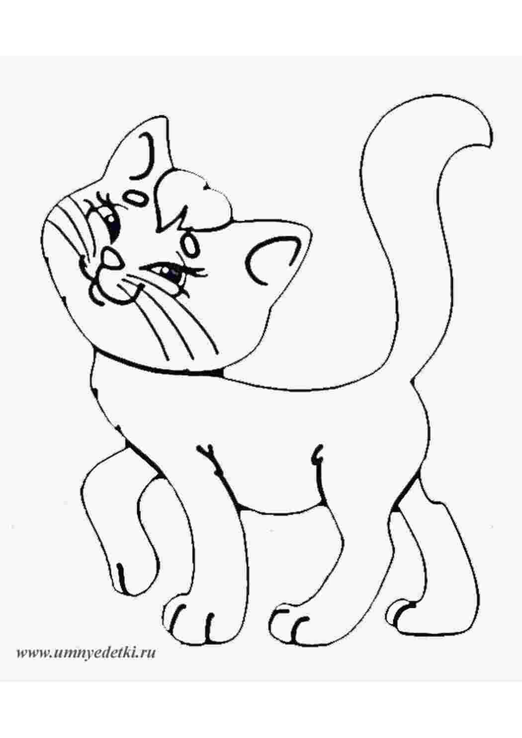 Раскраски кошка, раскраски для детей, домашние животные Раскраски Кошки  