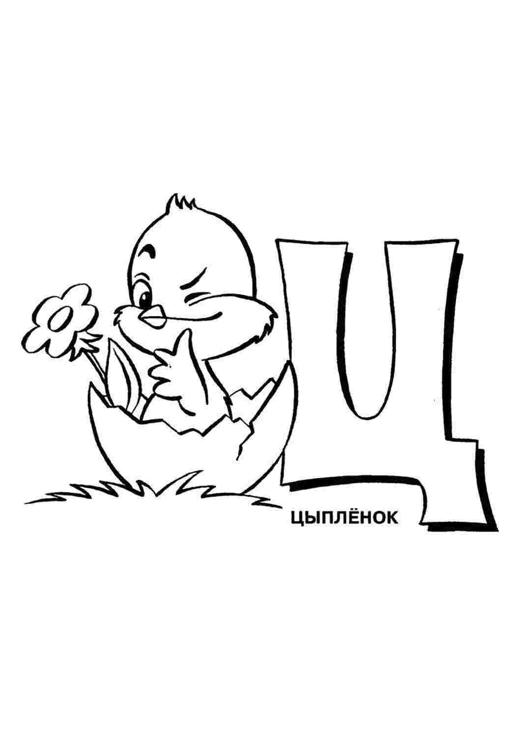 буква буква