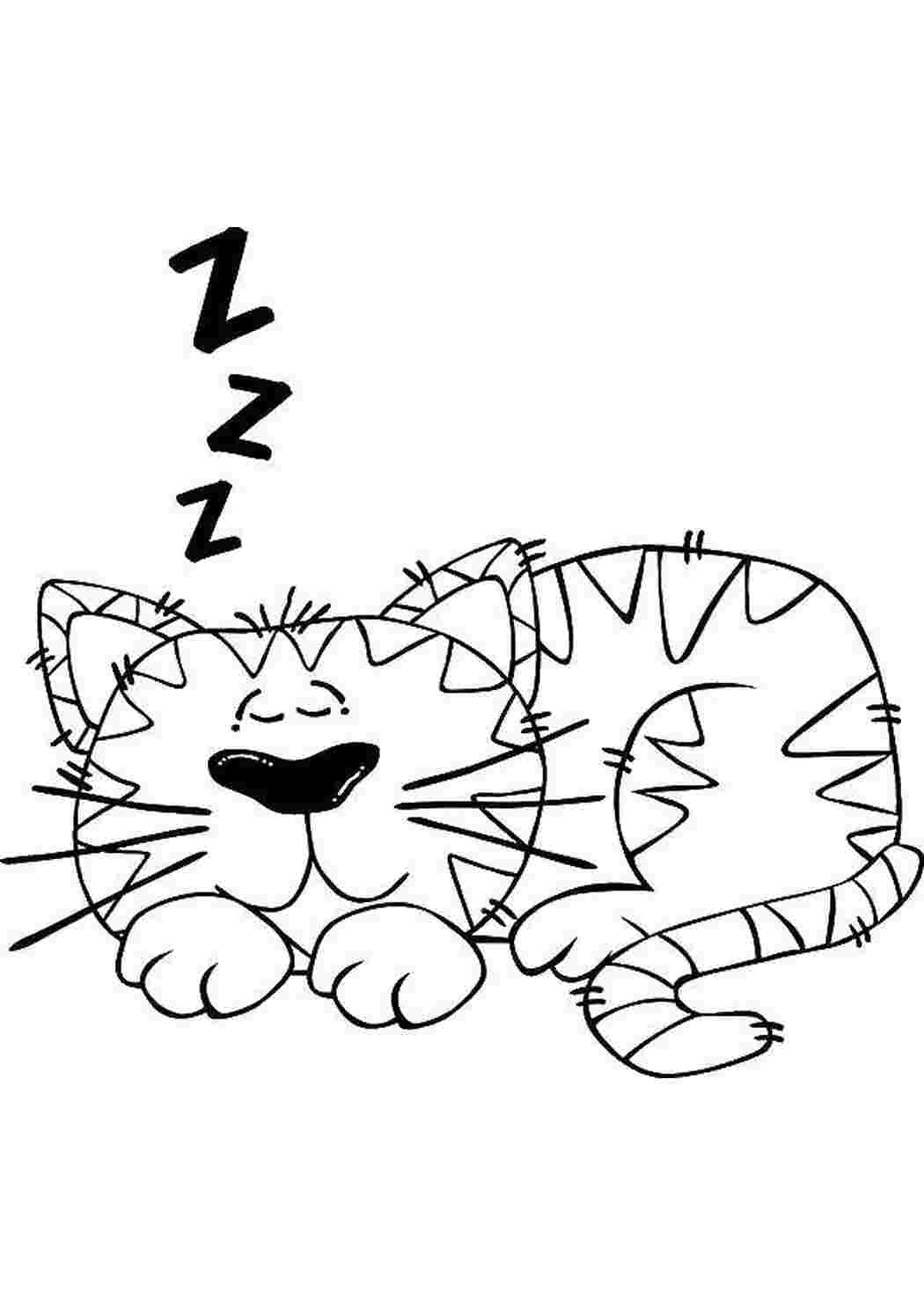 Раскраски Кот спит Контуры животных кот