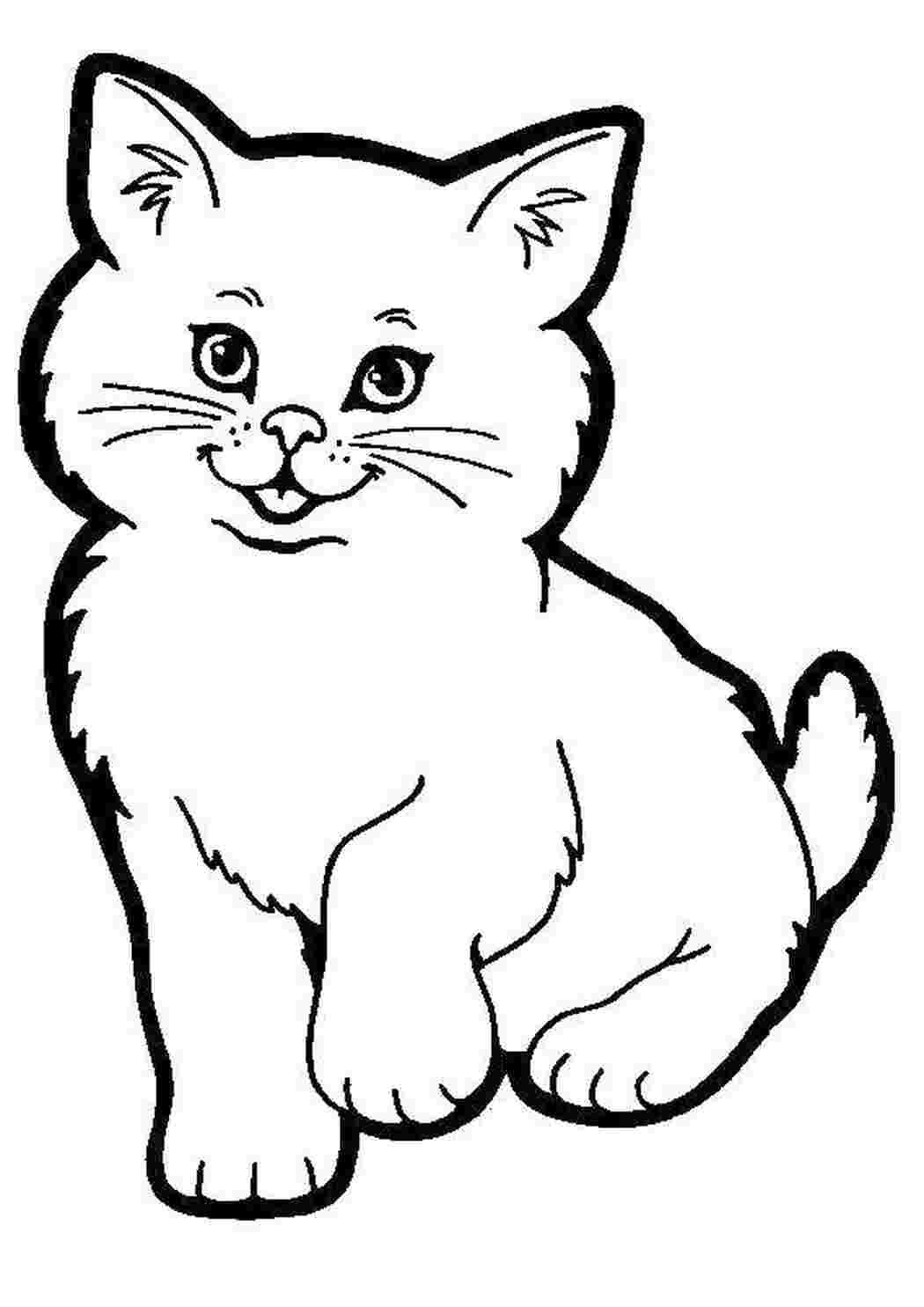 Раскраски Пушистый котенок животные животные, котенок, кошечка