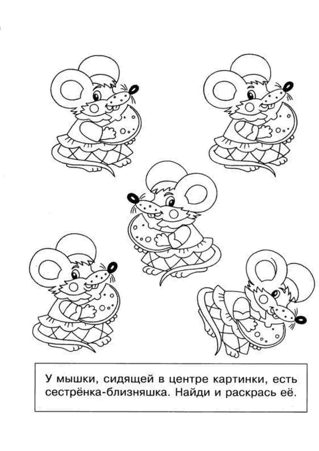 Раскраски раскраска на внимание, мышка  развивающие развивающие