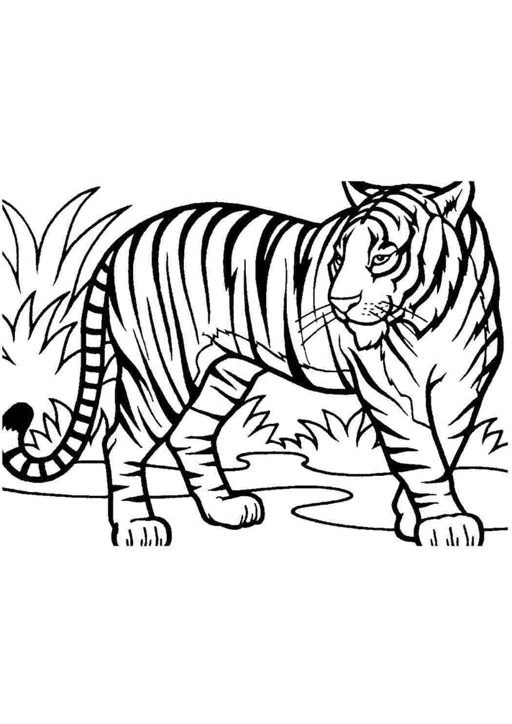 Деревянный конструктор-раскраска Robotime тигр Tiger