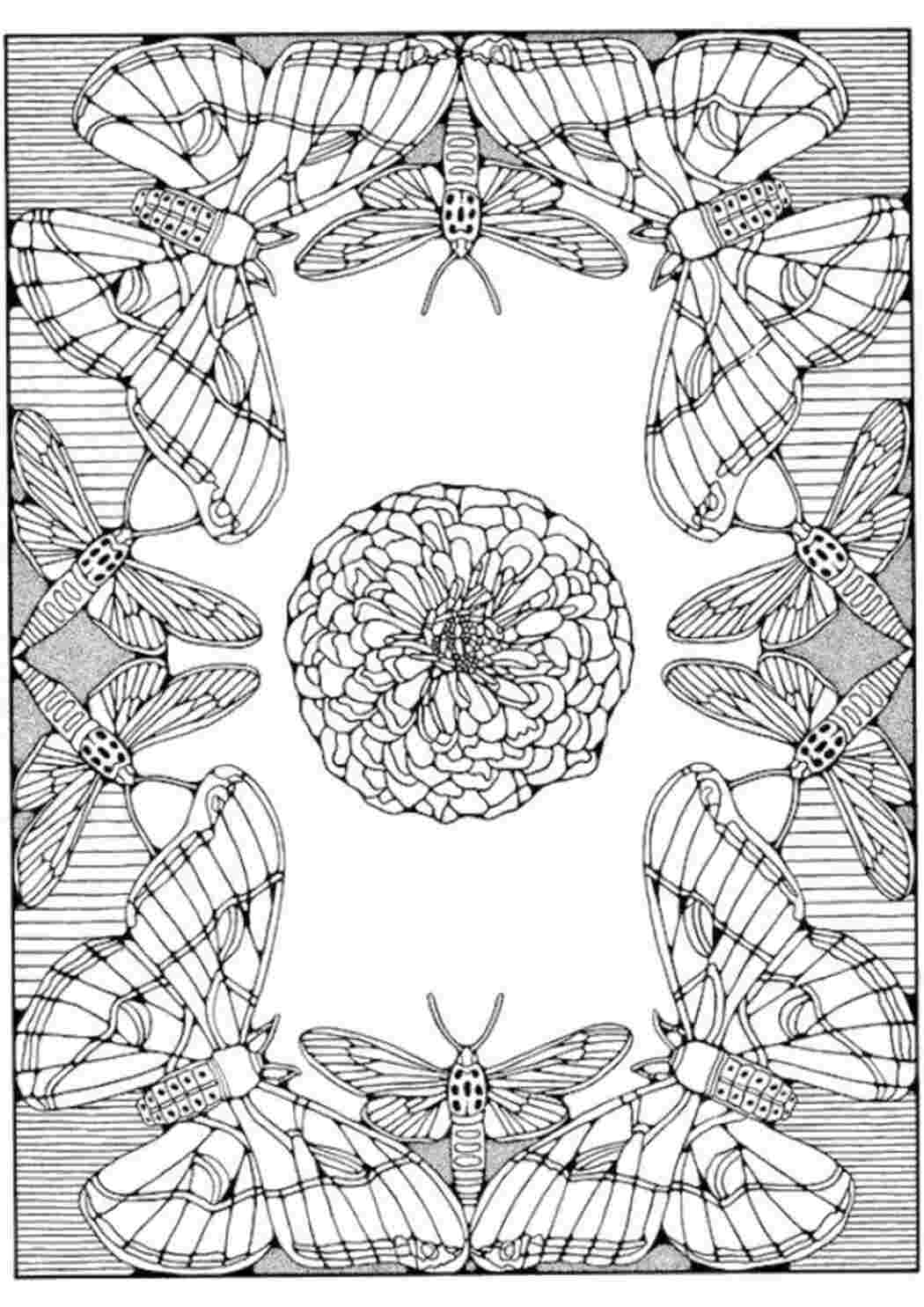 Раскраски Стрекозы и бабочки вокруг цветка Насекомые Насекомые, бабочка, стрекоза