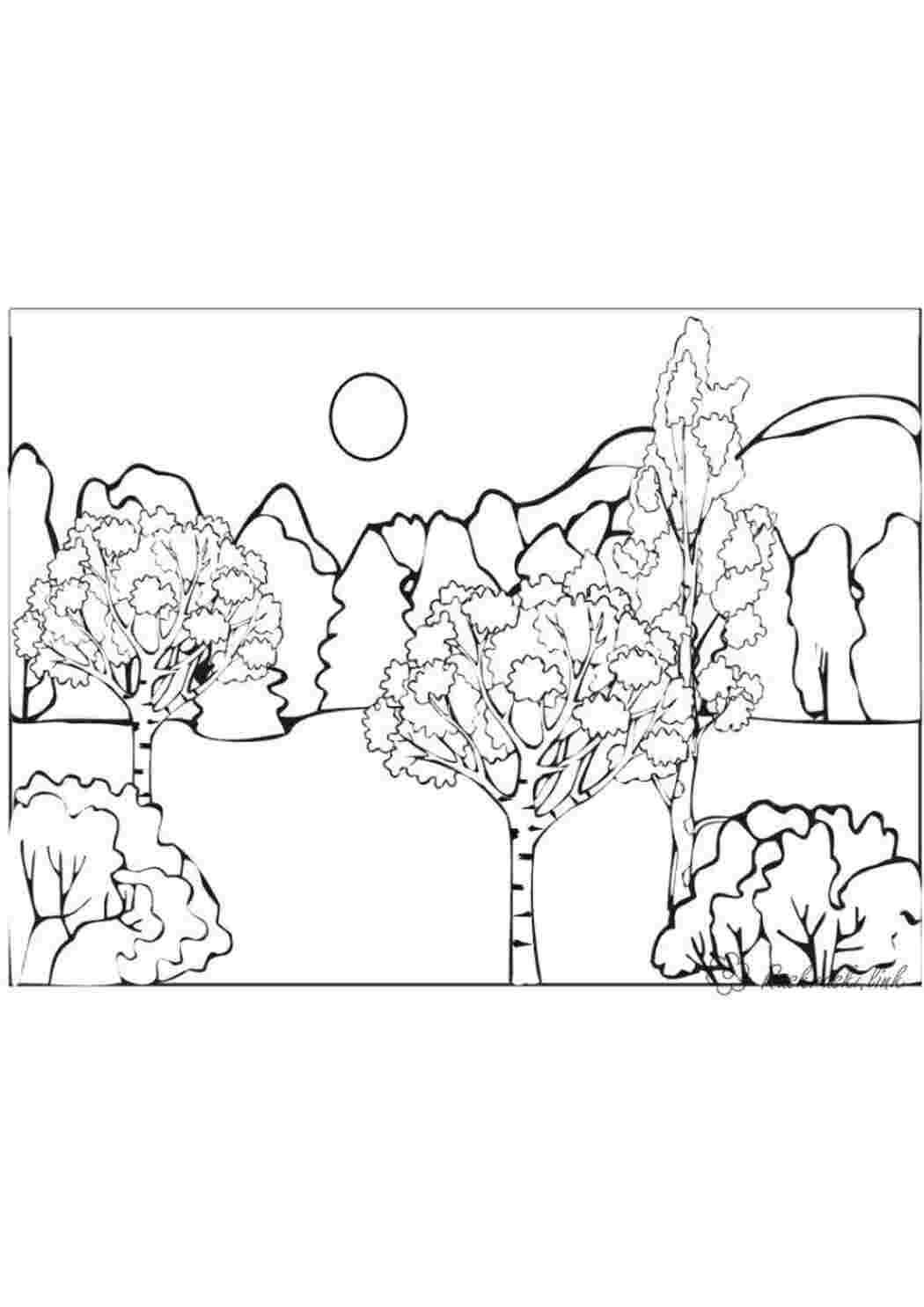 Раскраски Раскраски деревья раскраска лес,деревца,полянка,горы,березы Раскраски деревья раскраска лес,деревца,полянка,горы,березы  Раскраски скачать онлайн