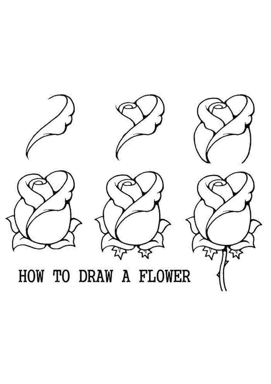 Как нарисовать цветы / Мультик раскраска цветок / РАСКРАСКИ ТВ