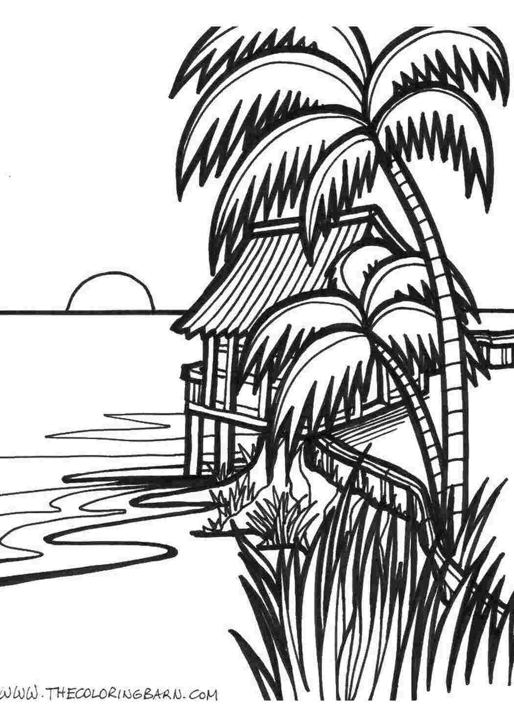 Раскраски Домик на пляже Пляж пляж, пальмы, море