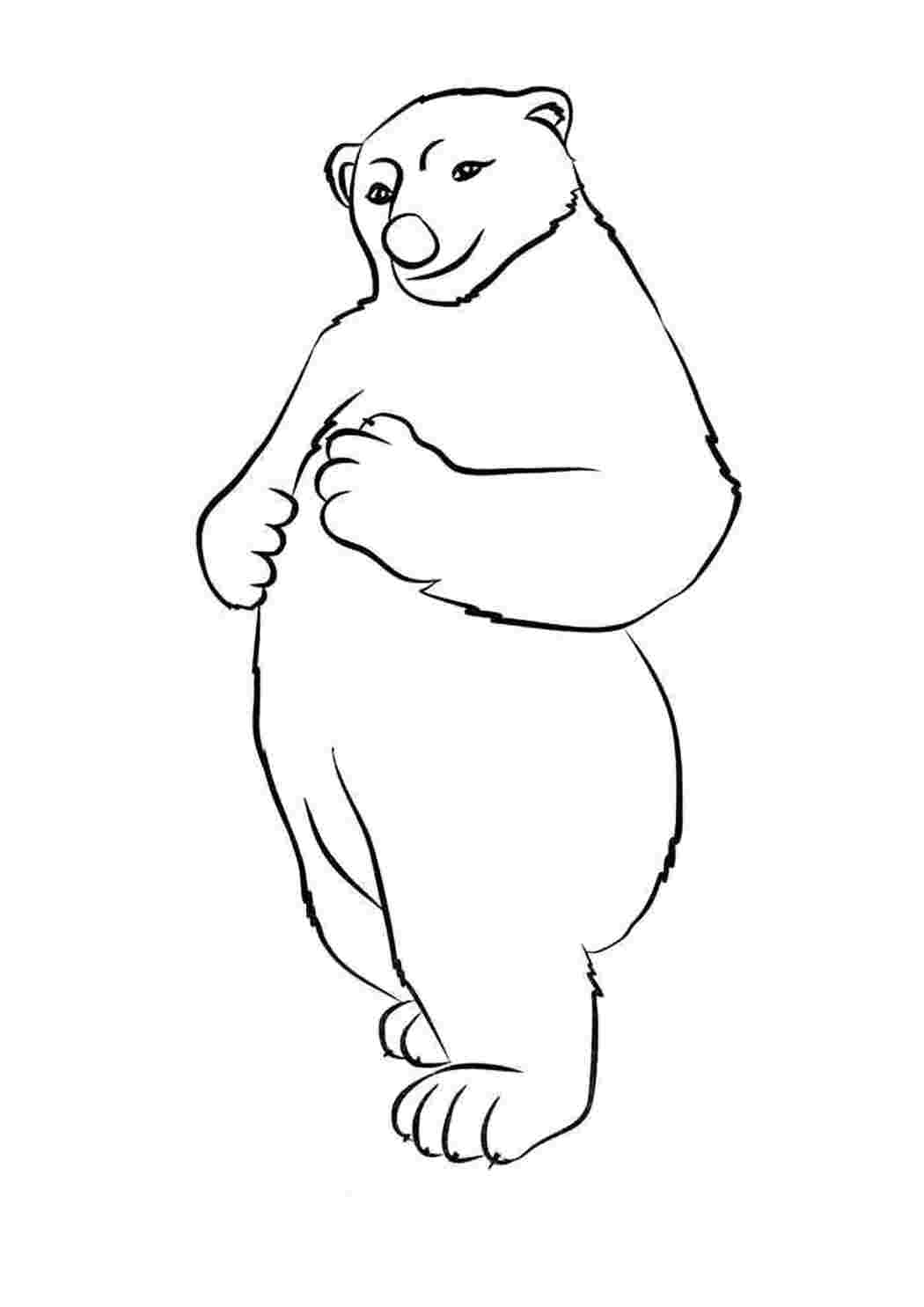 Белый медведь рисунок Изображения – скачать бесплатно на Freepik