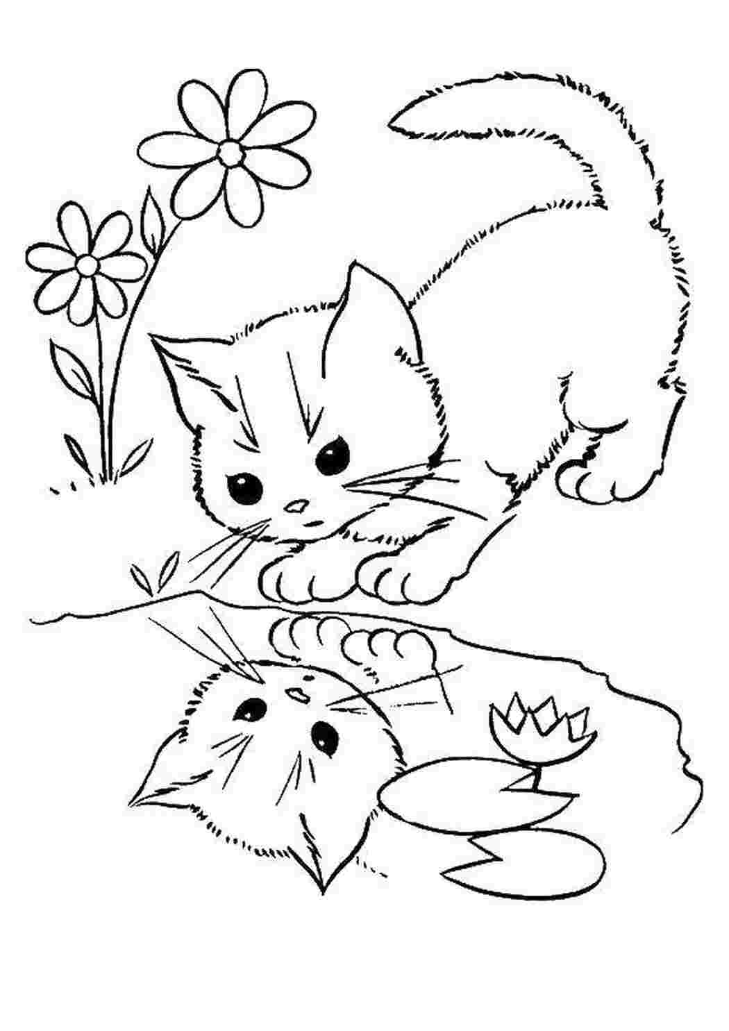 Раскраски Котёнок увидел своё отражение котики Животные, котёнок
