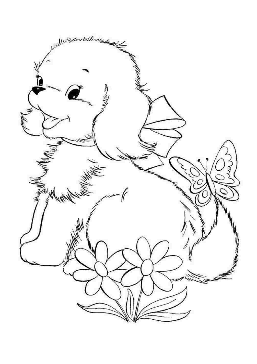 Раскраски Собачка с бантиком, цветы. бабочка домашние животные животные, собака, щенок, пес