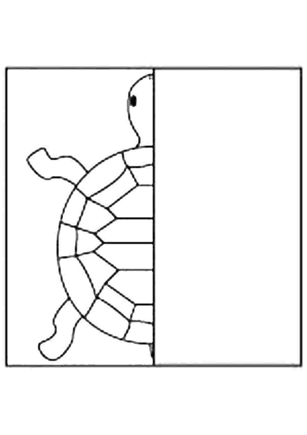 Раскраски черепаха. Дорисуй черепаху Черепаха Черепаха