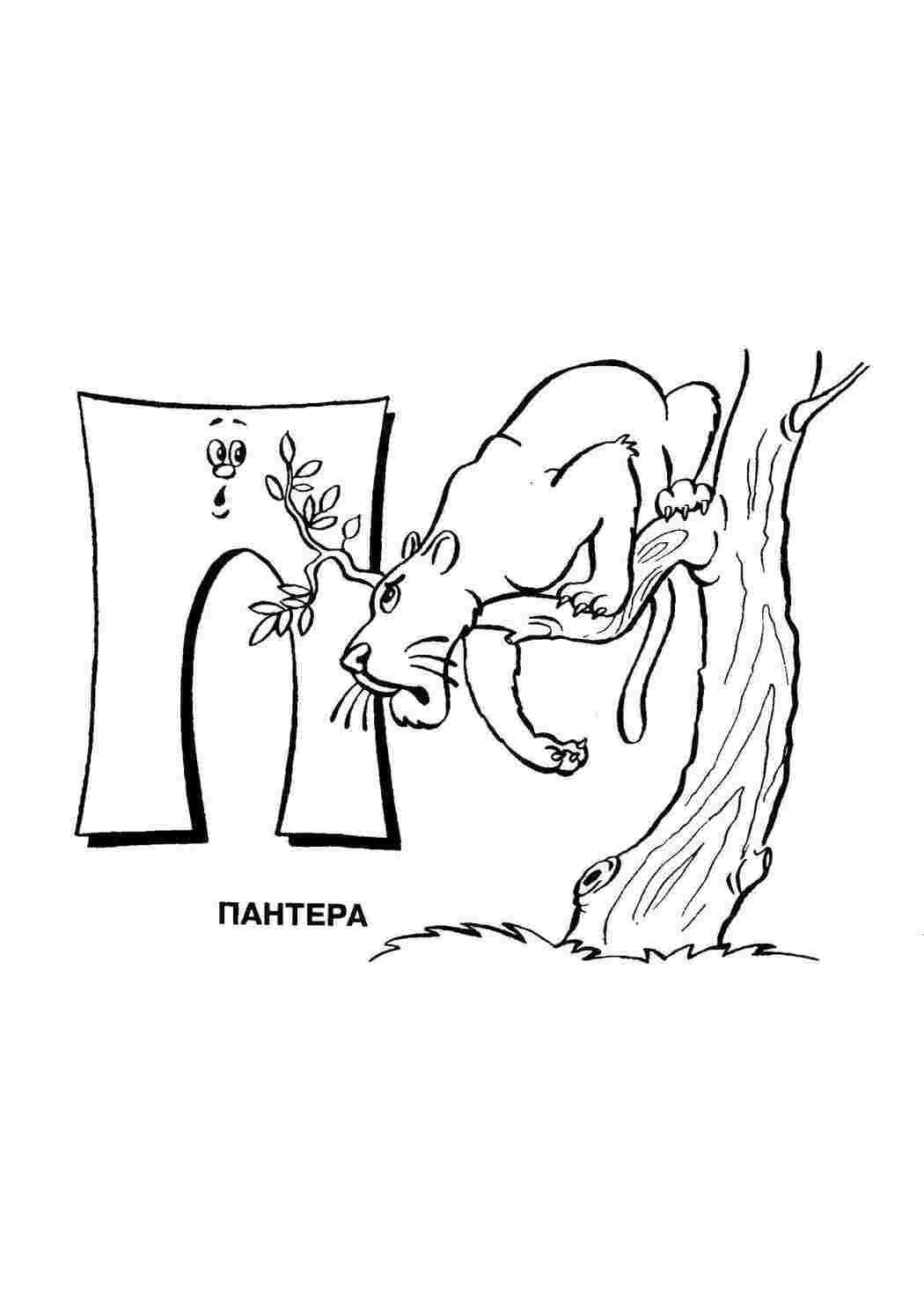Раскраски Пантера на букву п алфавит алфавит, пантера