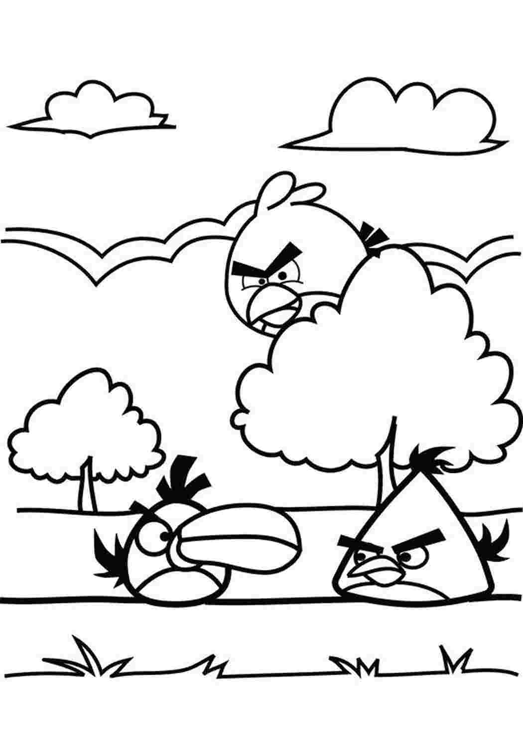  Angry Birds