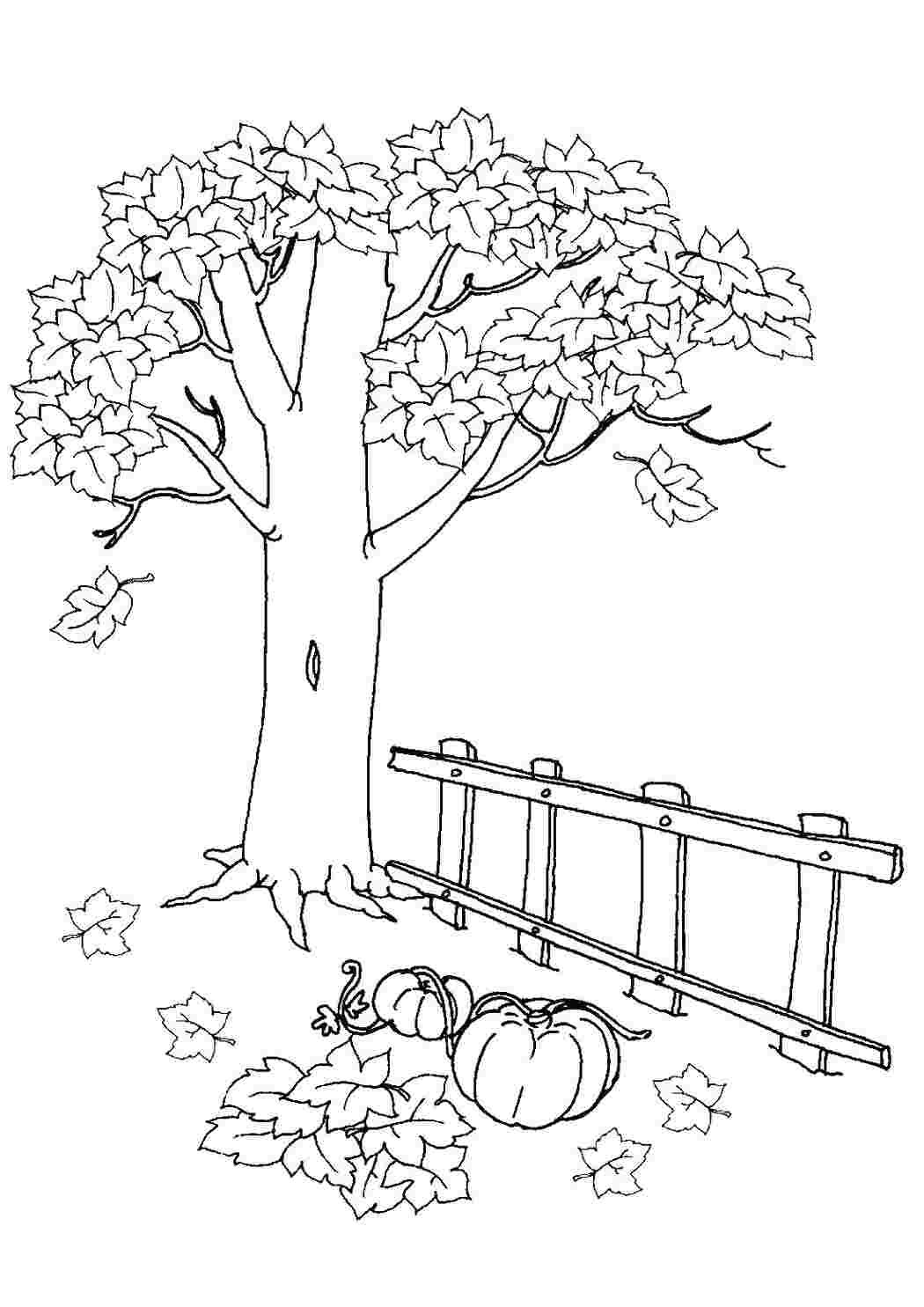 Раскраски Осенняя дача и тыквы ,дерево и заборс урожаем на участке,