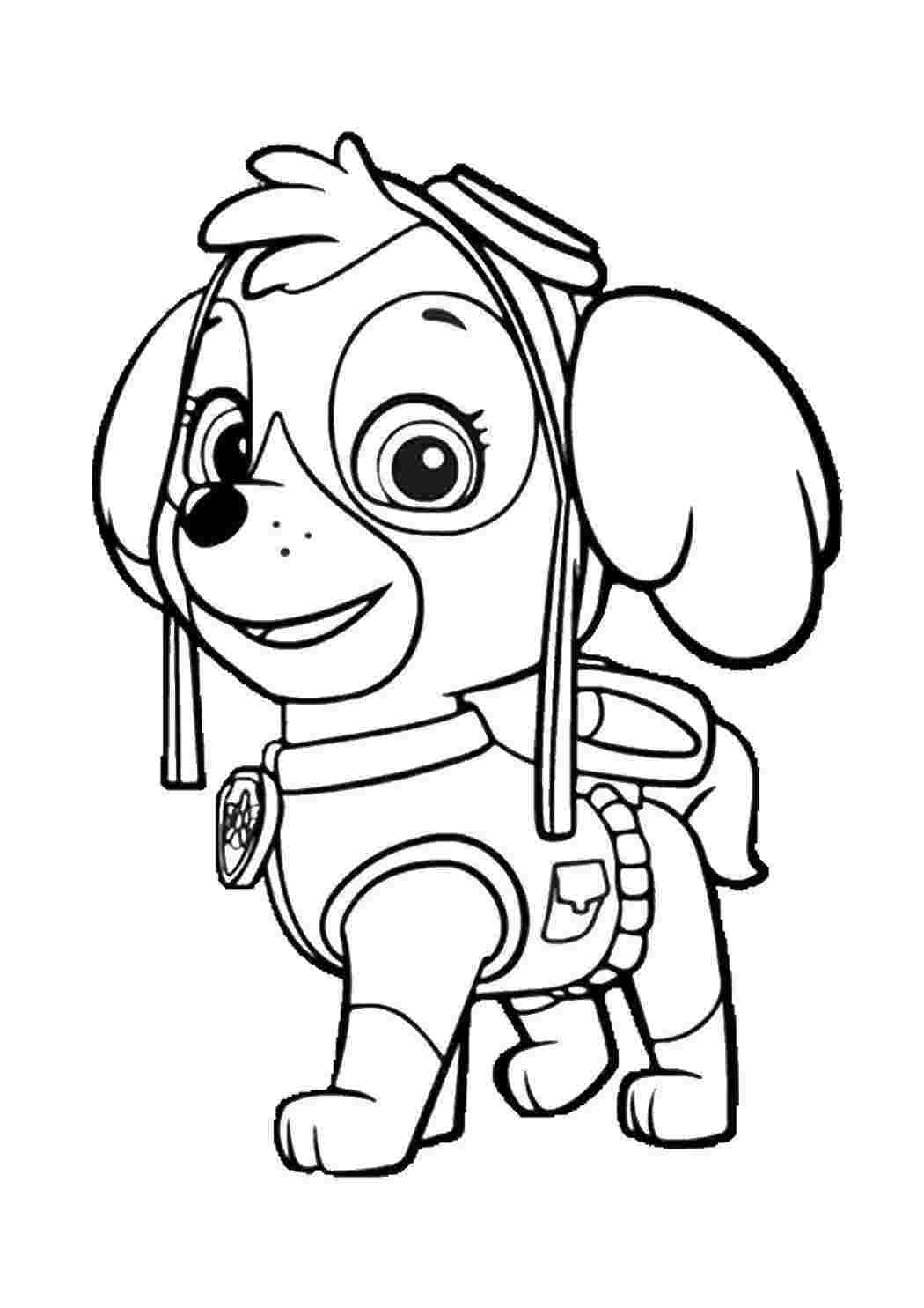 Раскраски Скай щенок кокапу, одетая в розовый костюм и очки пилота щенячий патруль Скай, щенячий патруль