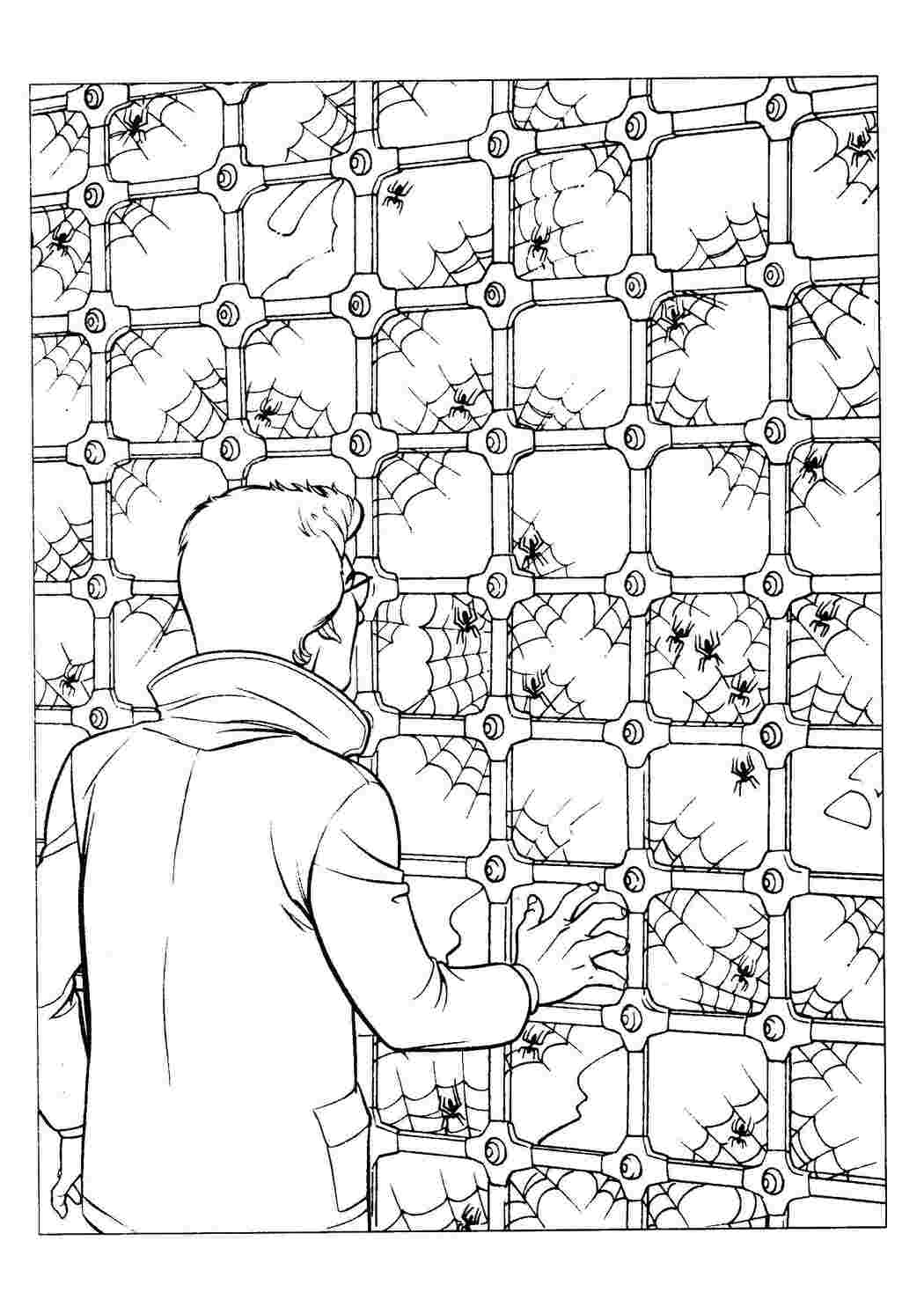 Раскраски Питер паркер человек паук человек паук человек паук, супергерои