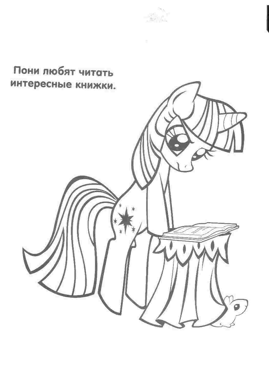 Пони пони, книга