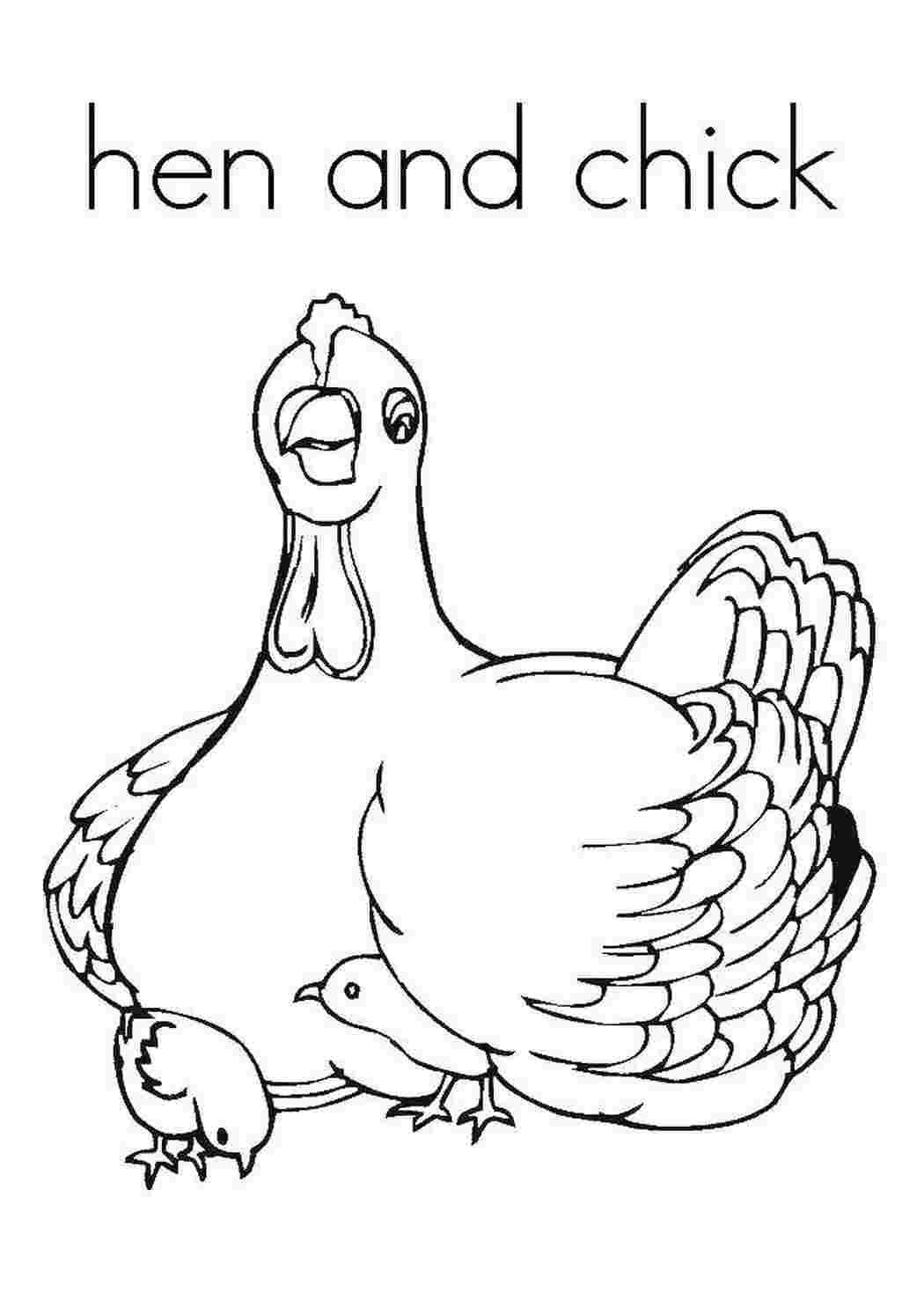 страница 2 | Фото Книжка раскраска цыплятами, более 19 качественных бесплатных стоковых фото