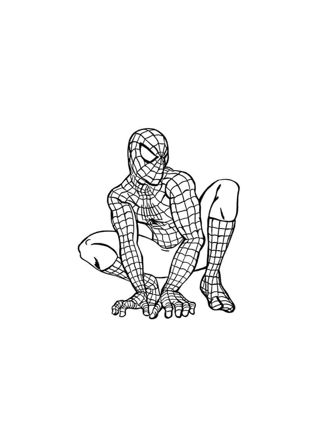 Раскраски человек-паук распечатать бесплатно | Spider man