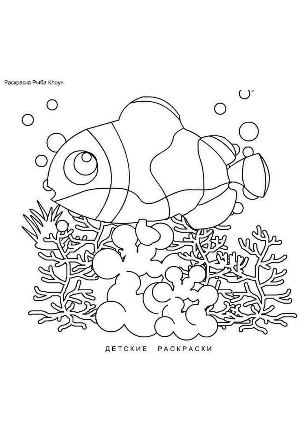 Раскраски, Распечатать детские раскраски про морских рыб. рыба клоун,  Распечатать детские раскраски про морских рыб. рыба клоун Раскраски скачать  онлайн, Красивый клоун, Цирковые трюки, Дорисуй лицо клоуна, Игрушка клоун,  Поход в цирк.