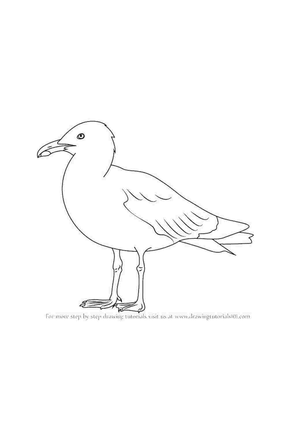 Раскраски Контур утки Контуры для вырезания птиц контуры, утка