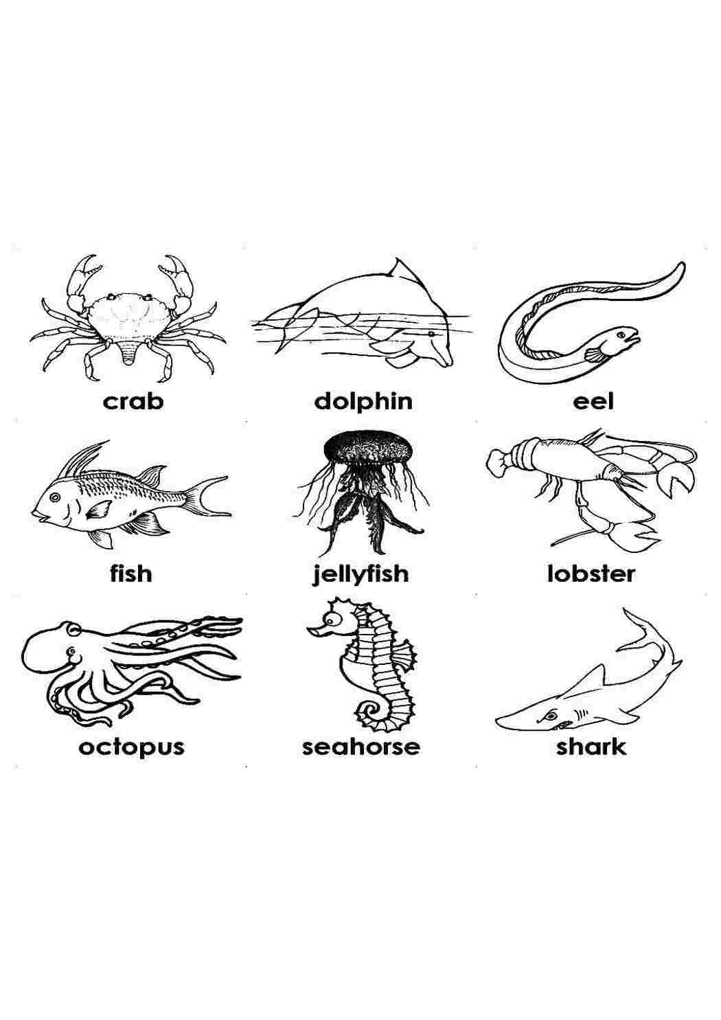 Раскраски Морские обитатели с названиями на английском животные морские жители, вода, море, рыбы