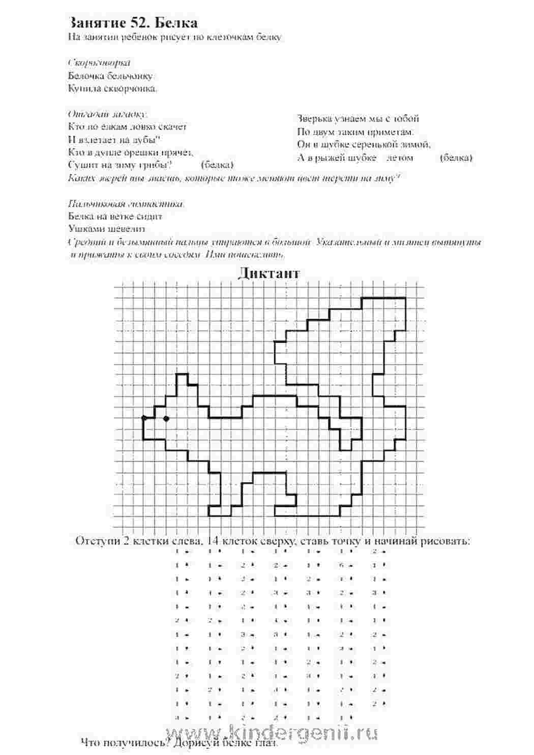 Раскраски Белка дорисуй по образцу белка