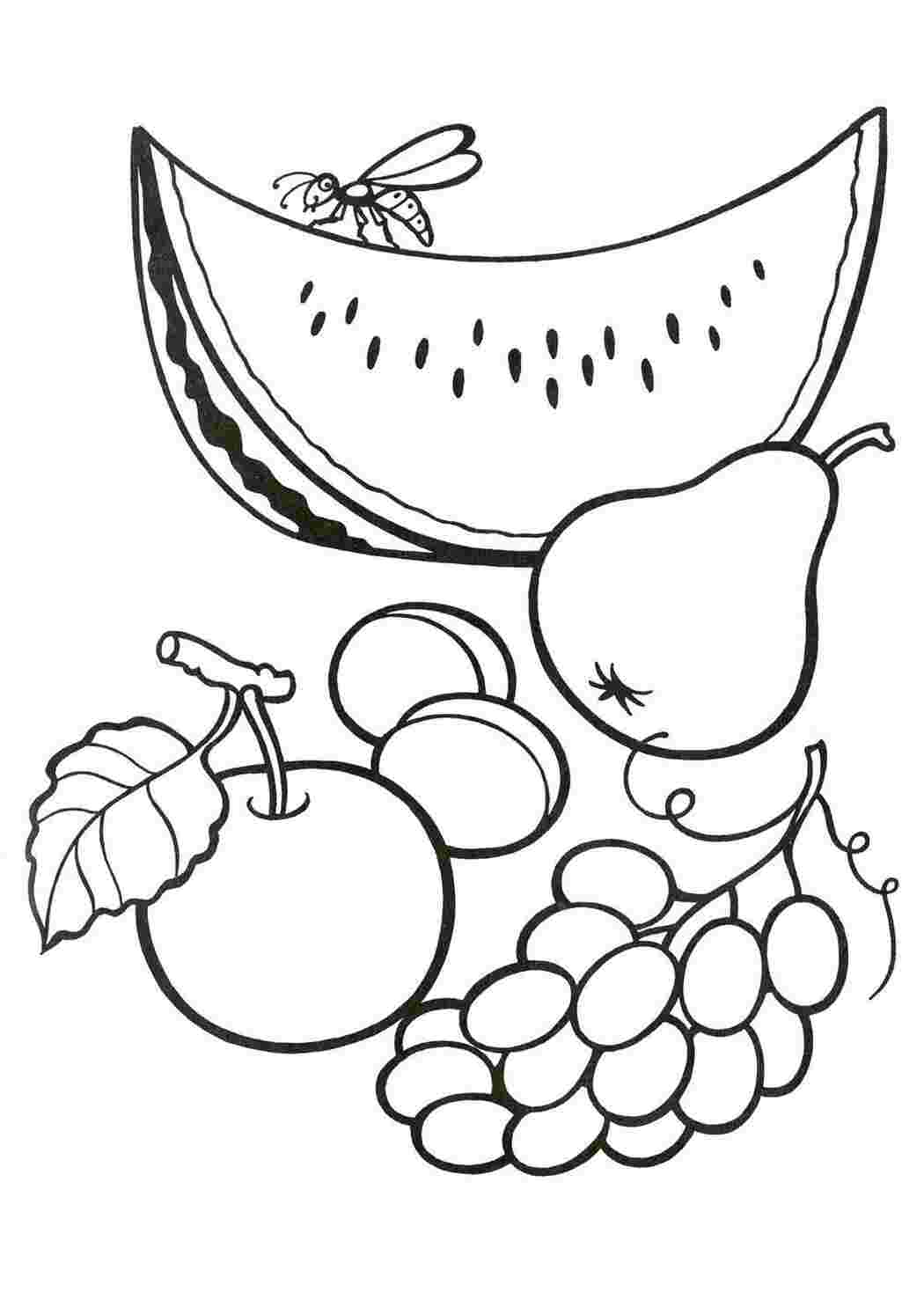 Раскраски простые фрукты и ягоды скачать
