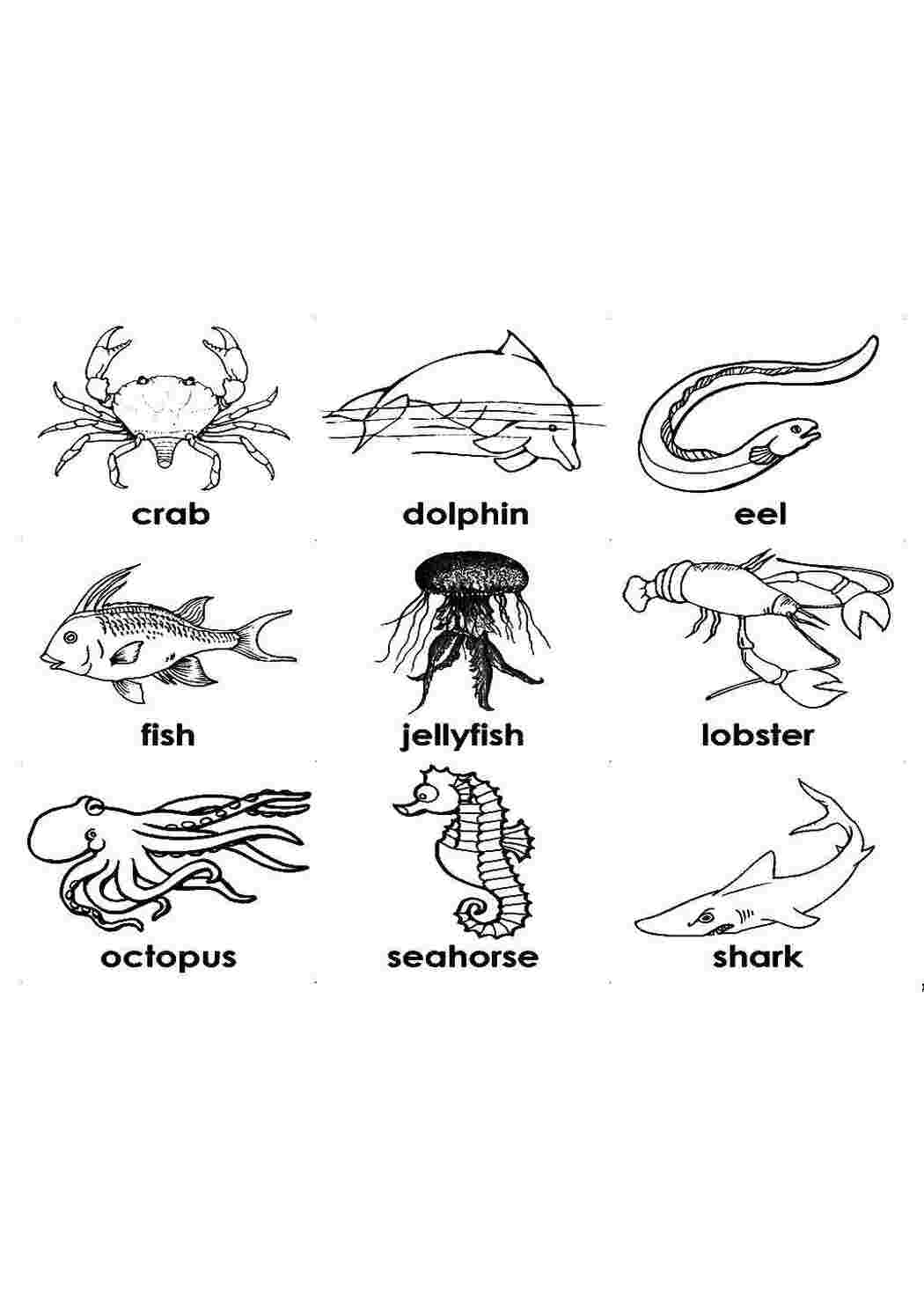 Раскраски Морские обитатели на английском Английский Английский, животные