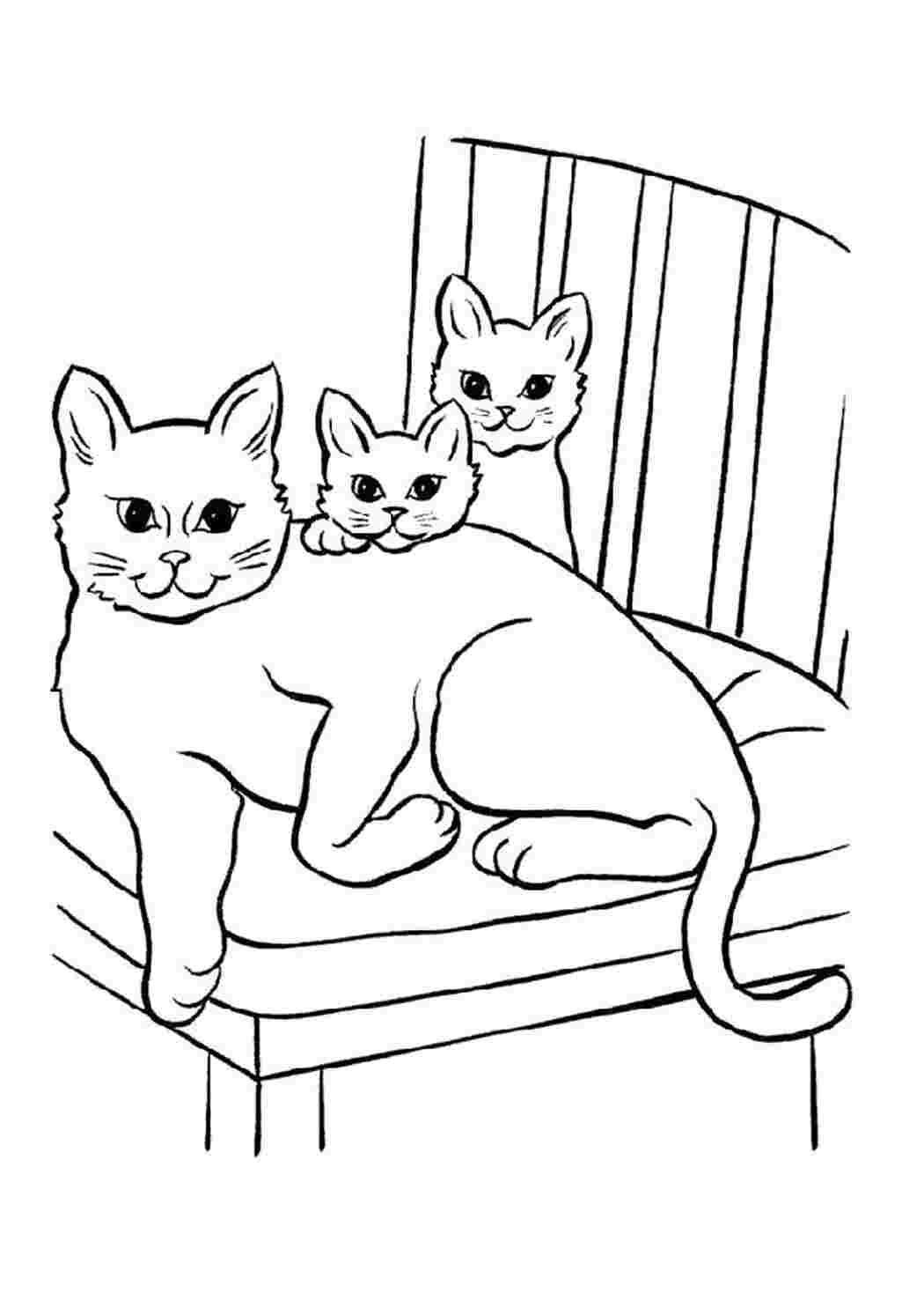 Раскраски Раскраска Кошка Домашние животные кошка, Котенок