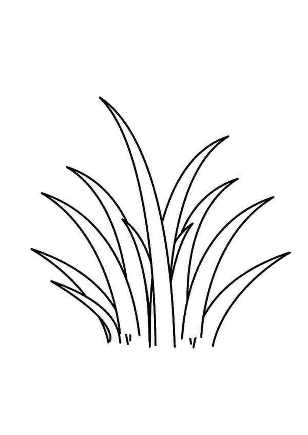 Раскраски Трава Контуры травы для вырезания трава, растения