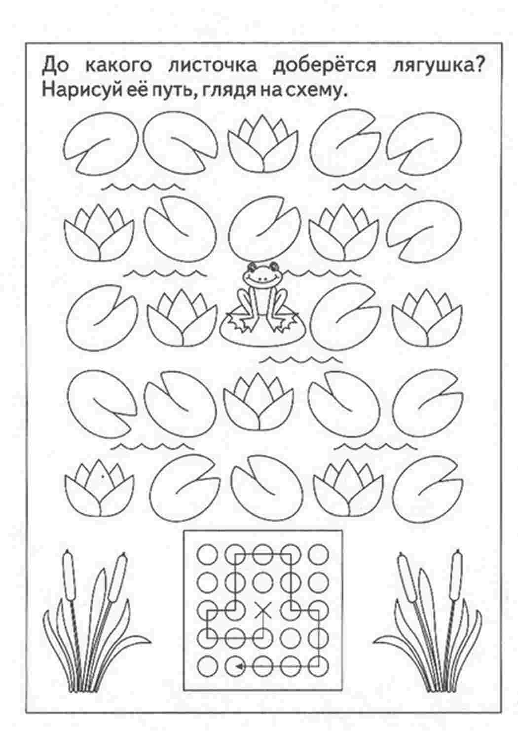 Раскраски, Задания на развитие пространственного мышления, различные  задания на внимание и пространственное мышление скачать бесплатно онлайн  или распечатать, Задания на развитие пространственного мышления, Задания на  развитие пространственного ...