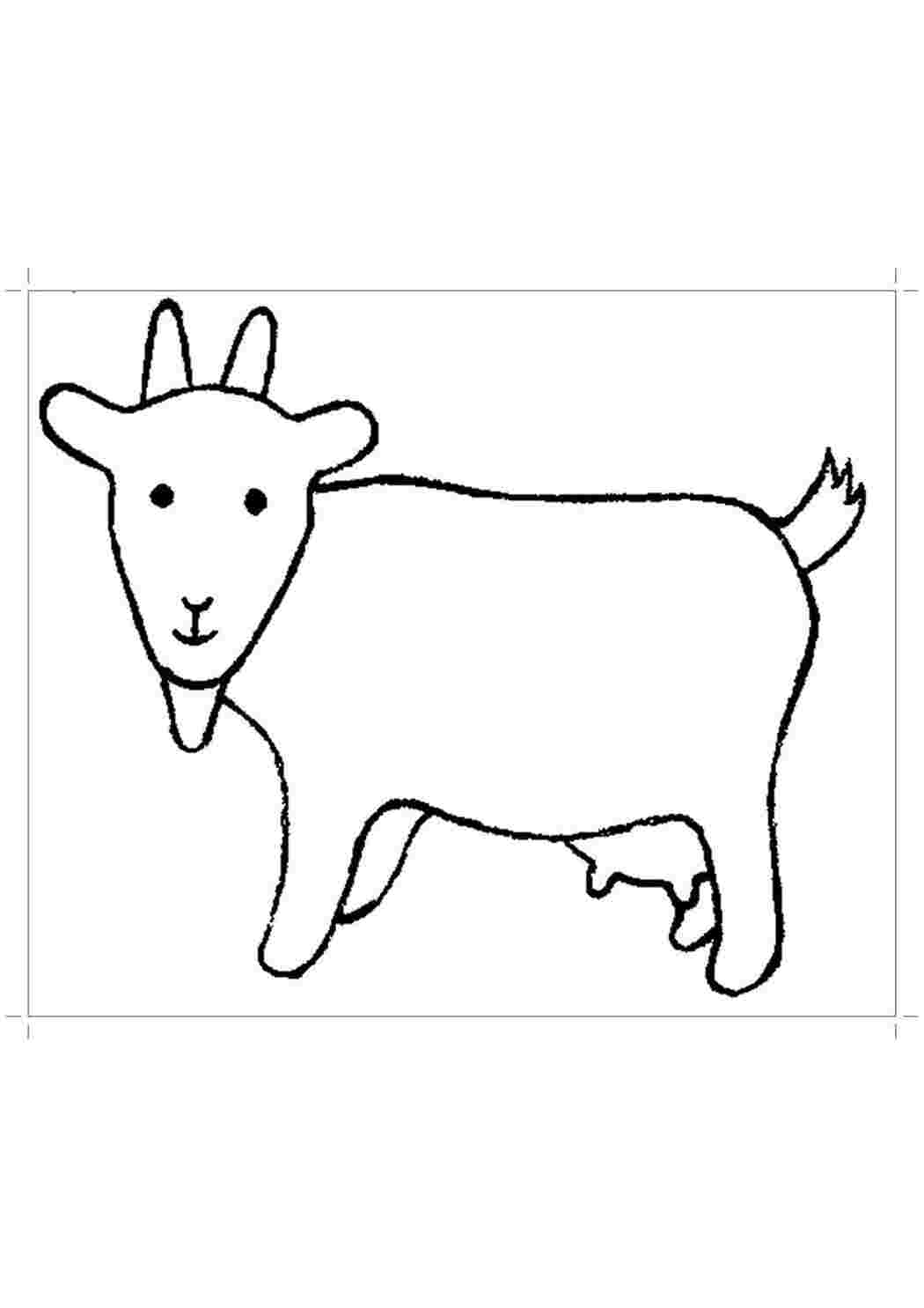 Раскраска коза и козленок – Развивающие иллюстрации
