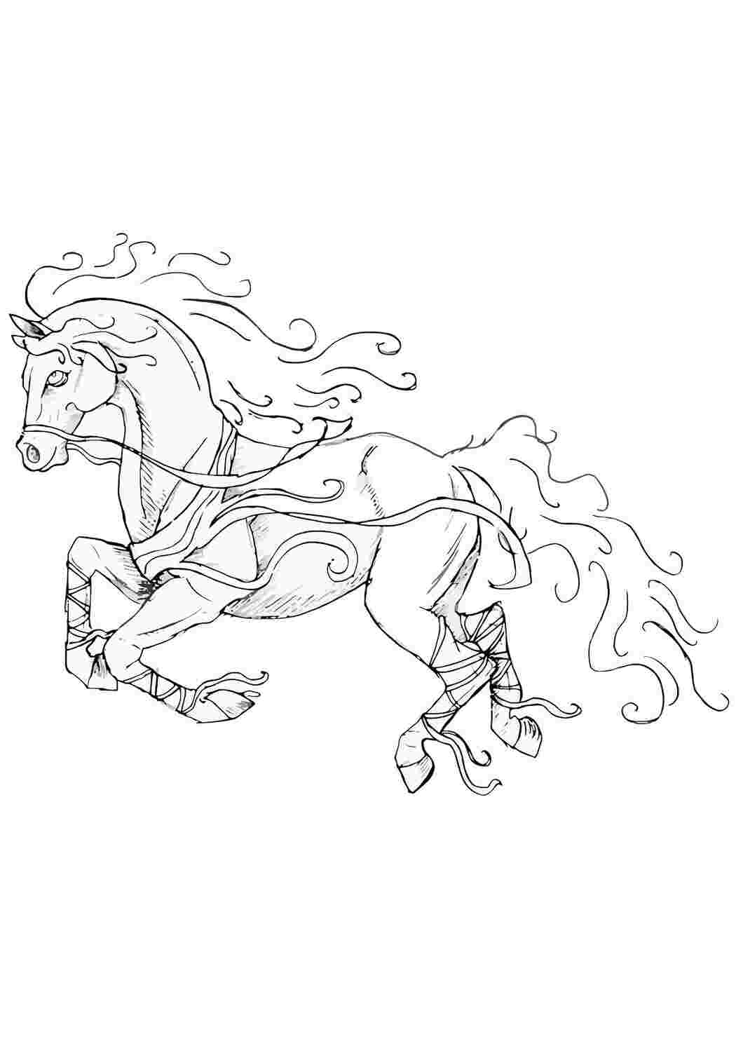 Раскраски картинки на рабочий стол онлайн Раскраска лошадь с красивой гривой Раскраски для мальчиков