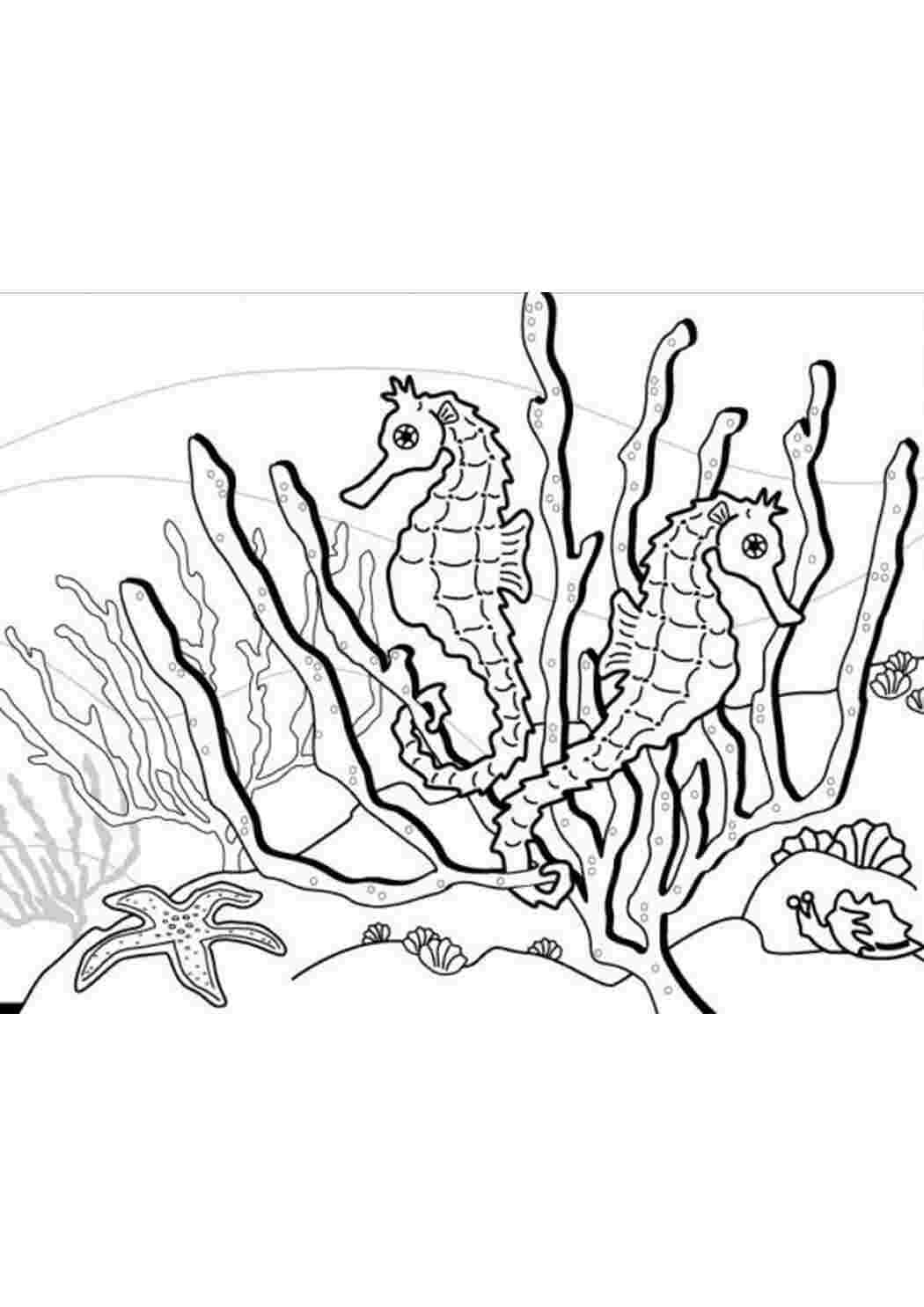Раскраски Раскраски на тему окружающий мир. Раскраски на тему морской конек. Раскраски на морскую тематику. Раскраски на тему окружающий мир. Раскраски на тему морской конек. Раскраски для детей с тематикой подводного мира. Раскраски с морским коньком. 