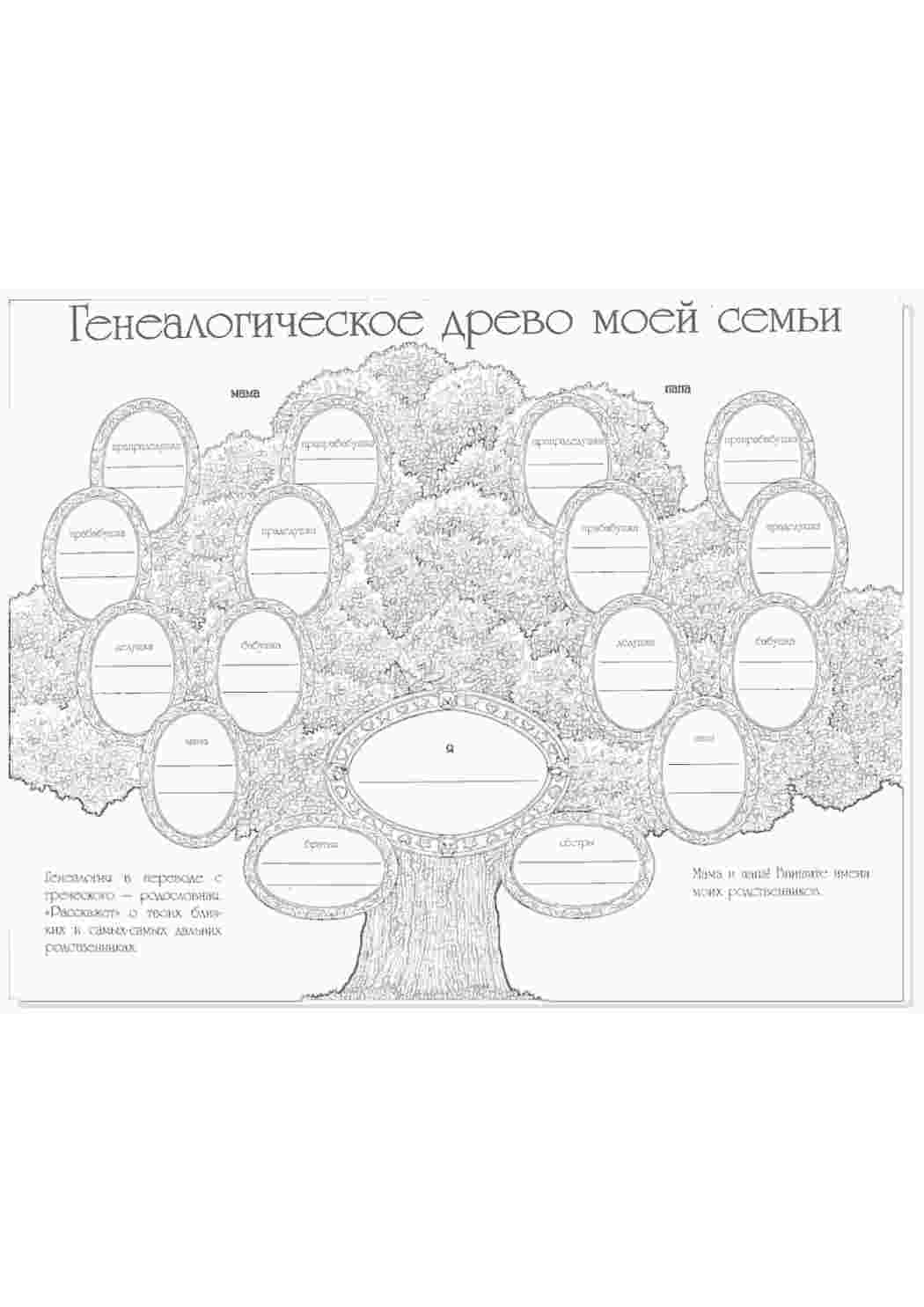 Раскраска генеалогическое дерево семьи  Раскраски скачать онлайн