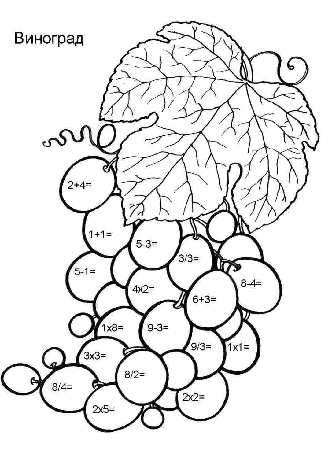 Раскраски Виноград математические раскраски математика, загадки