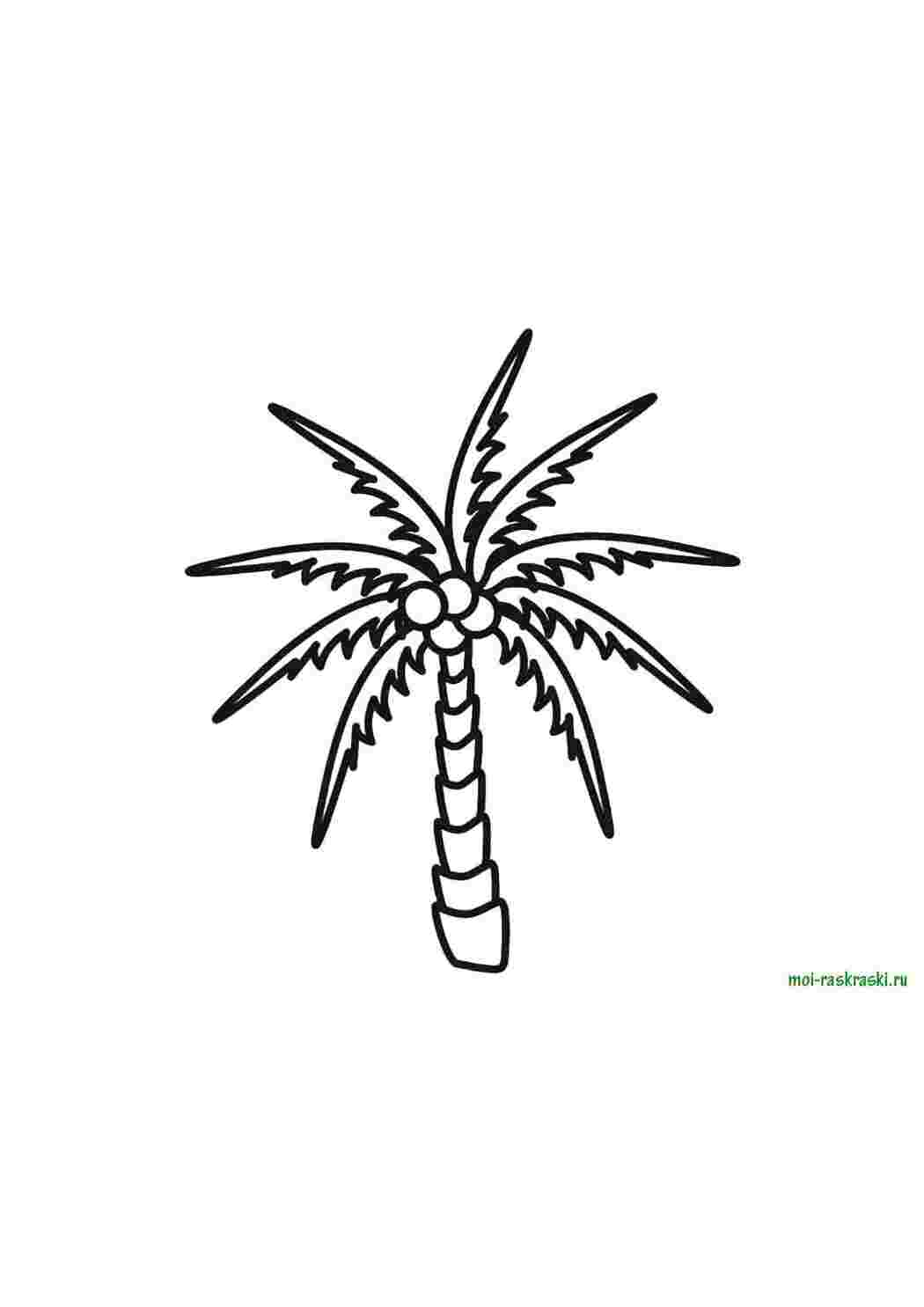 Раскраски Пальма дерево Деревья, пальма