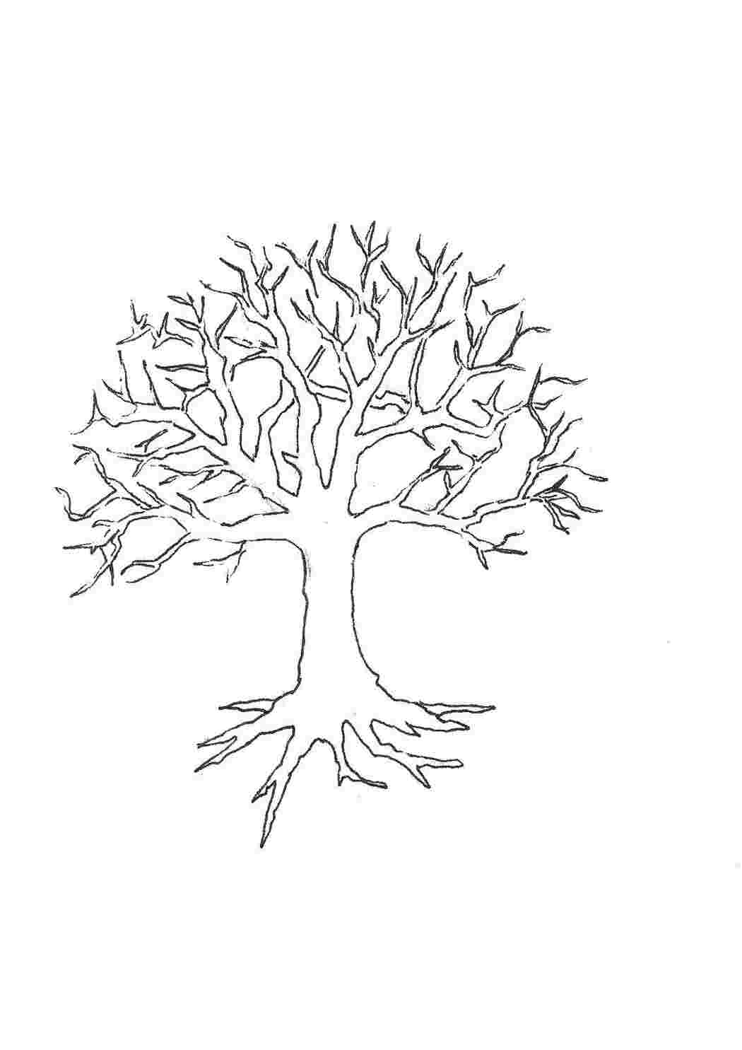 Раскраски Сухое дерво дерево Деревья