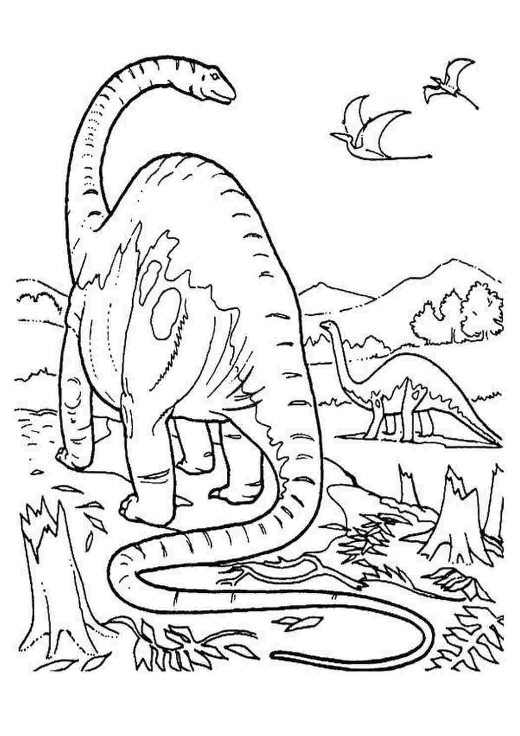Раскраски Диплодоки динозавры питались растительностью динозавр Диплодоки, динозавры