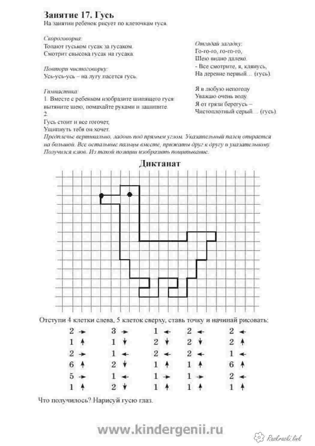 Раскраски гусь Графический диктант  Раскраски Графический диктант 