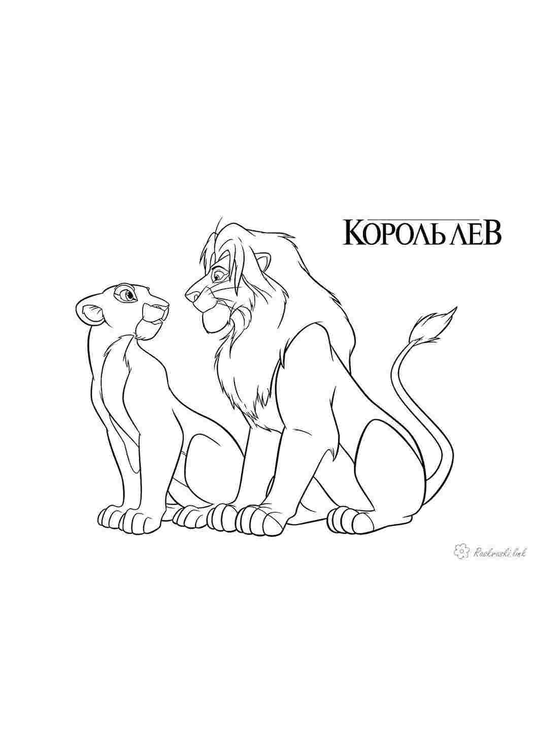 дикие животные лев