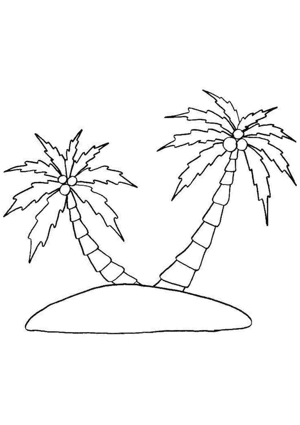 Раскраски Две пальмы на остраве Пляж пальмы, пляж