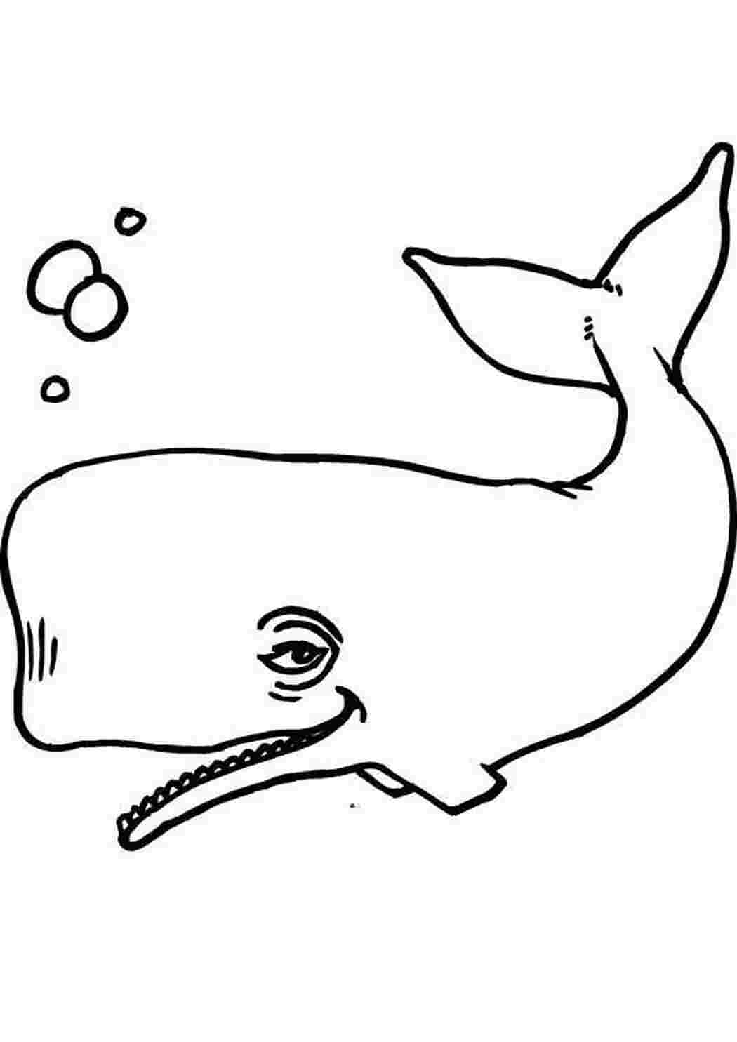 Раскраска кит - Бесплатно Онлайн или Распечатать!