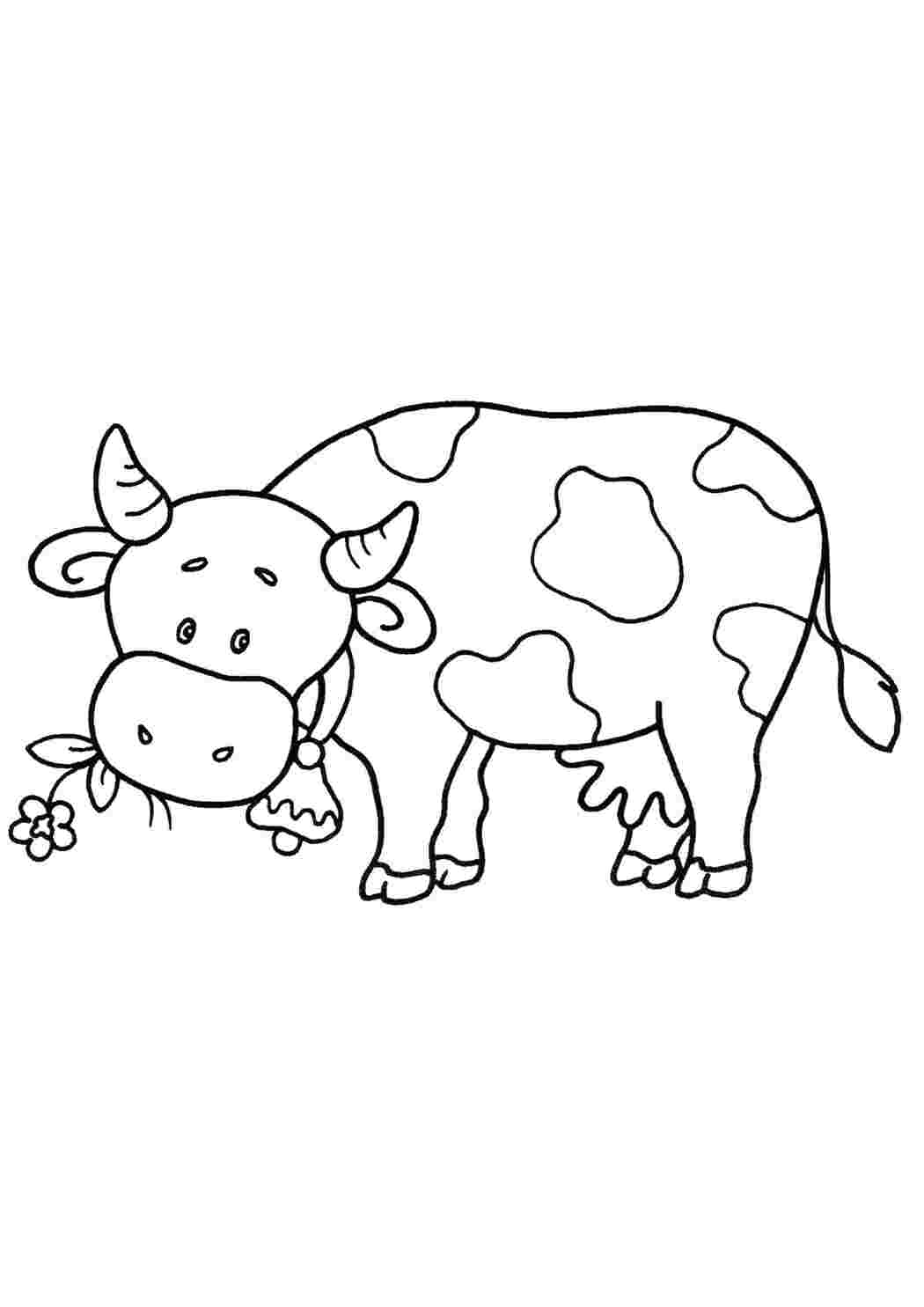 Раскраски Раскраски с домашними животными. Корова буренка для мальчиков и девочек животные