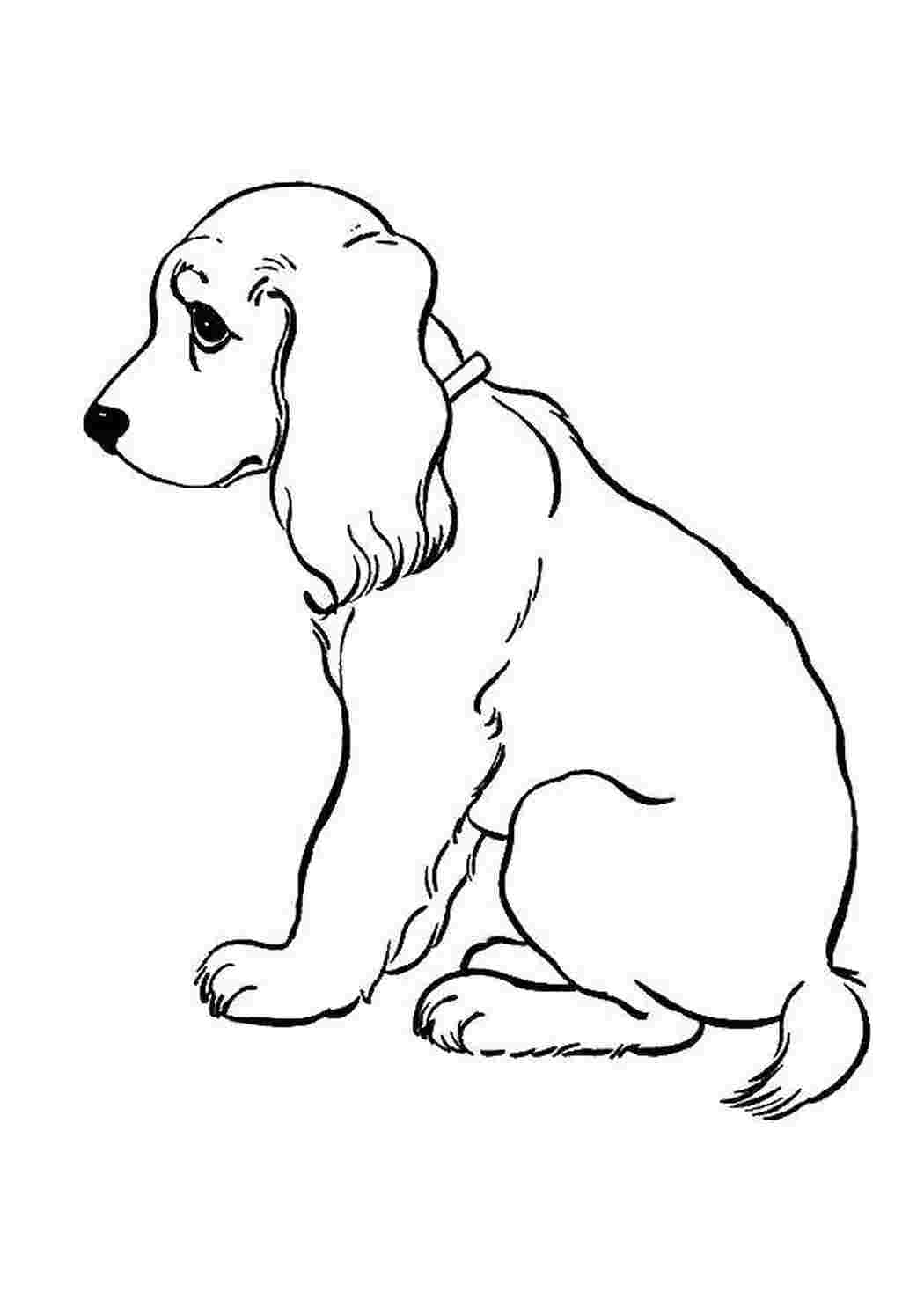 Раскраски Грустный песик собаки щенки собаки, животные, щенок
