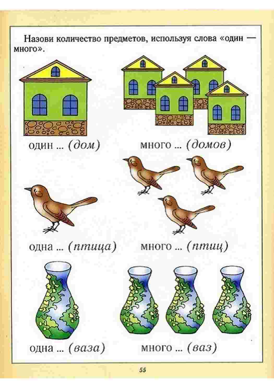 Раскраска предметы развитие. Задания где нужно назвать предметы используя  один и много