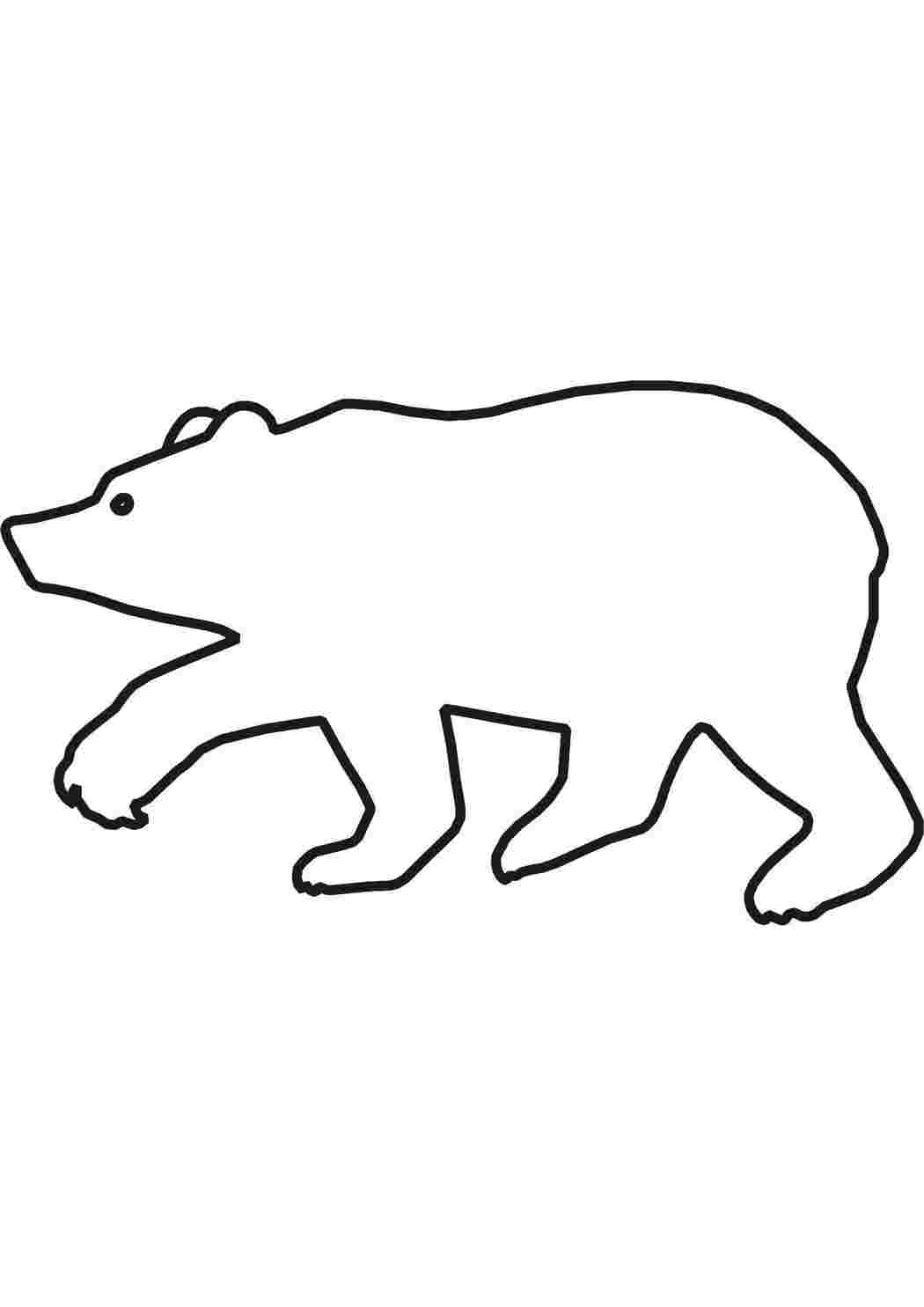 Раскраски Раскраски медведь, медведица, медвежонок  Медведь